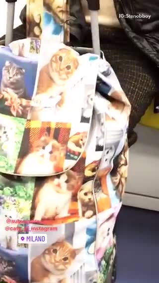 Man on rain bag with colorful cats all over