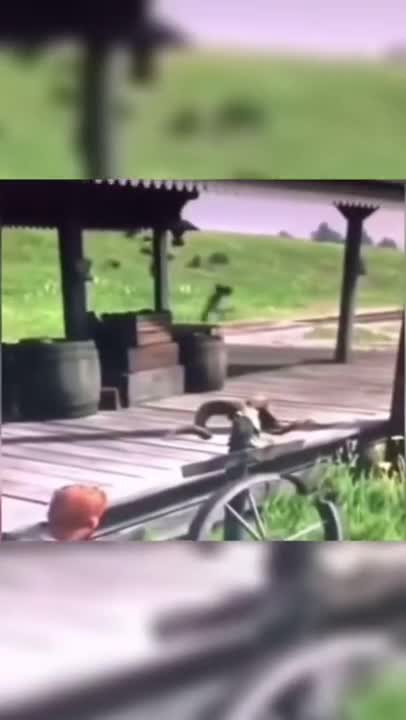 Rdr2 is a great game 💀