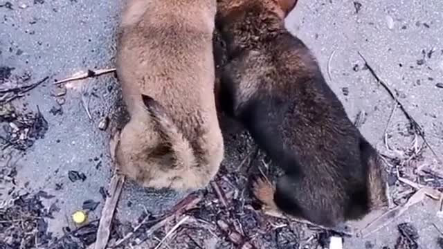 We're here to save you. Don't give up