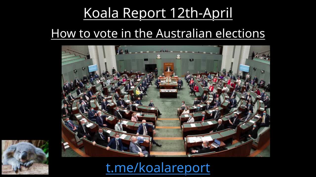 Koala Report on How to vote in this Australian election on May 21st 2022