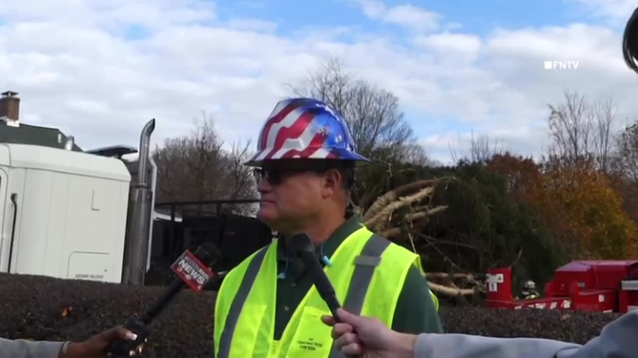 Rockefeller Christmas tree prepared in Massachusetts 2024