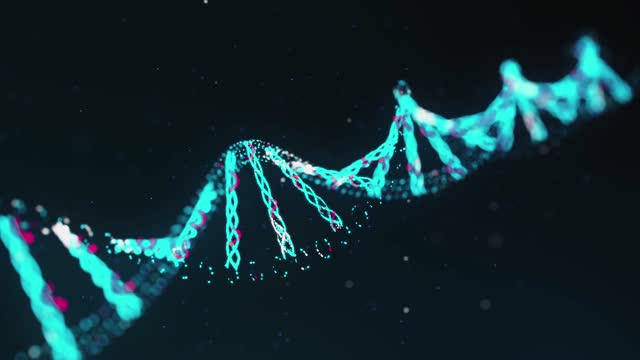 DNA