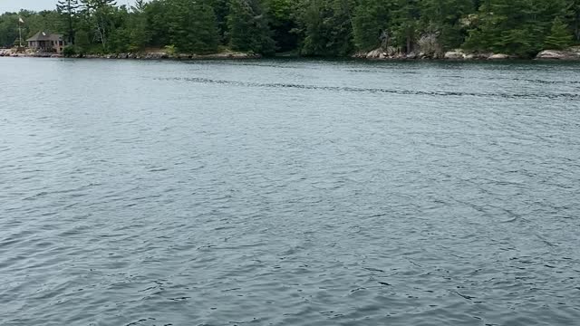 1,000 Islands, NY