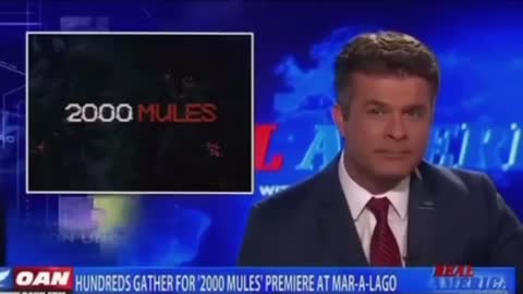 After Watching 2000 Mules, OAN's Dan Ball Says: "This election was rigged