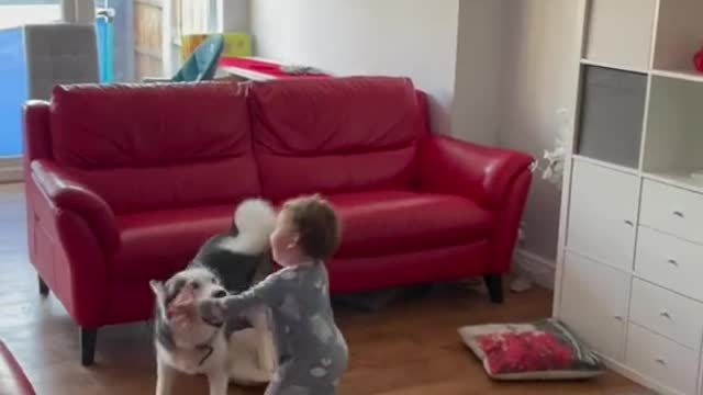 A child playing with a dog