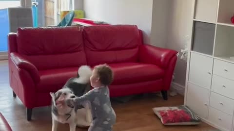 A child playing with a dog