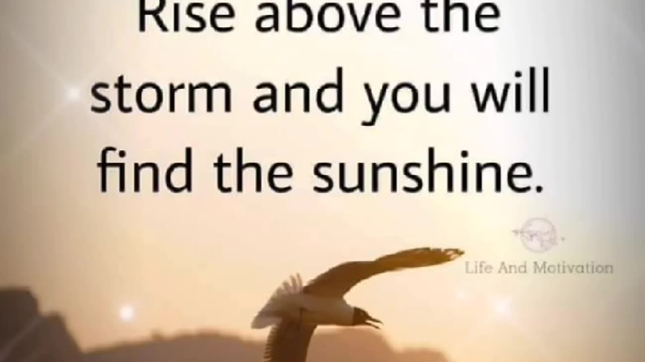 Rise above