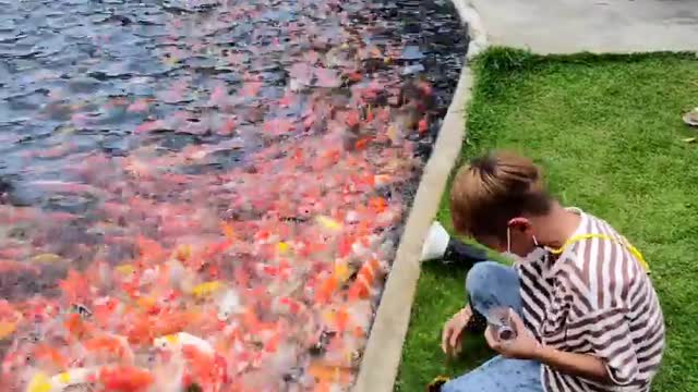 Kid playing with fish