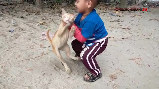 funny baby with cat!! baby vs cat
