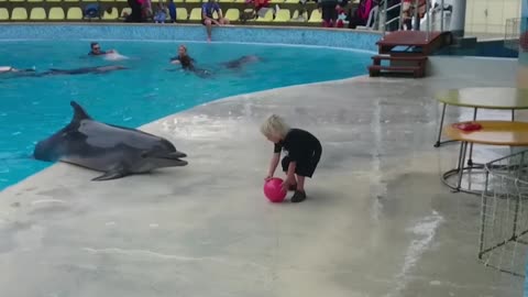 WATCH :Adorable Toddler Plays Fetch With Playful Dolphin ❤