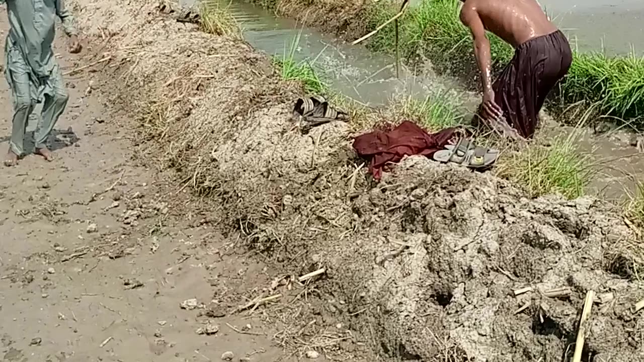 Last video