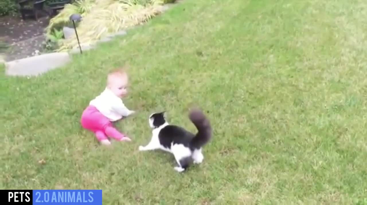 BABY AND CATS SO FUNNY:))