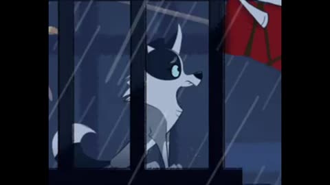 Summer Collie Butt Moments