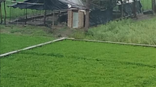 this people very poor i request all friend this video share place help you