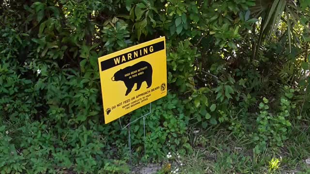 High Bear activity area.