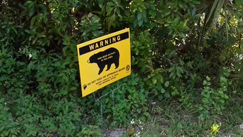 High Bear activity area.