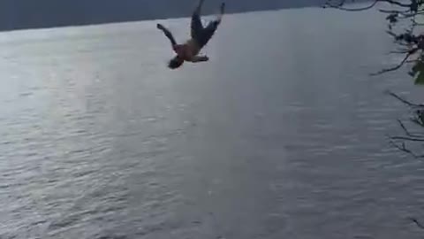 Collab copyright protection - man on rope swing bellyflops in lake