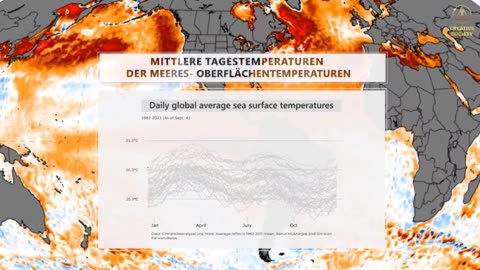 Plastik im Ozean und seine Folgen