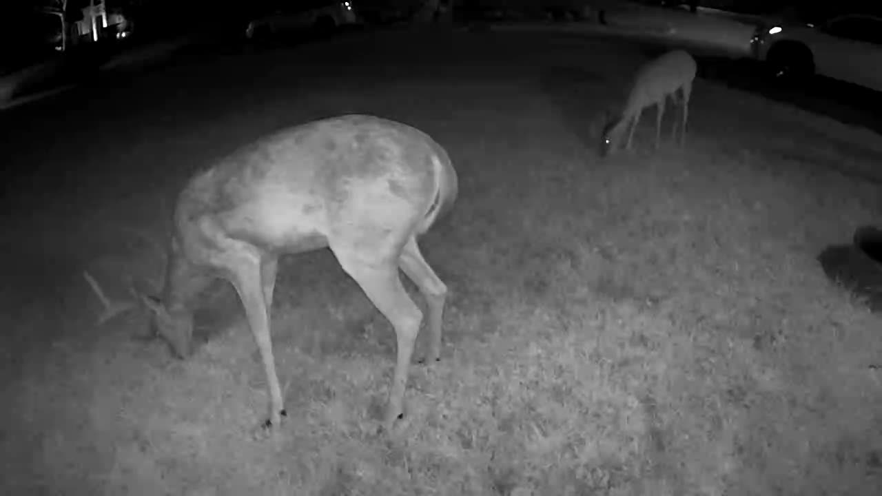 8pt August 13, 2023 0022
