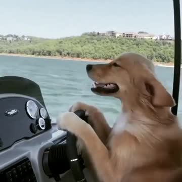 I got a new boat, How do I look like in it?