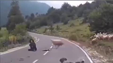 2021 best funny video so the RAM is yet to kill someone by push him away