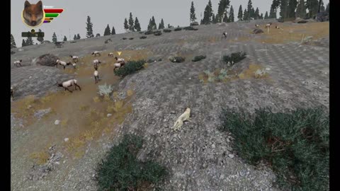 Wolfquest Ultra Iron Wolf Challenge- 01