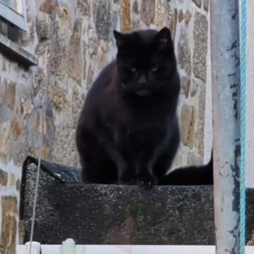 Juxtaposing Old & New