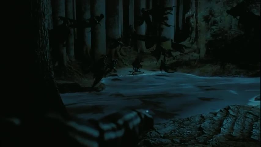 Harry Potter vs Dementors Harry Potter and the Prisoner of Azkaban [Open Matte 169]