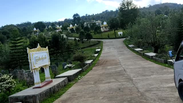 The garden and the sky