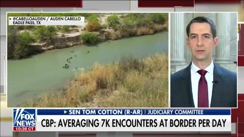 Senator Tom Cotton (R-AR) Says Now Is Not the Time to Loosen Immigration Restrictions