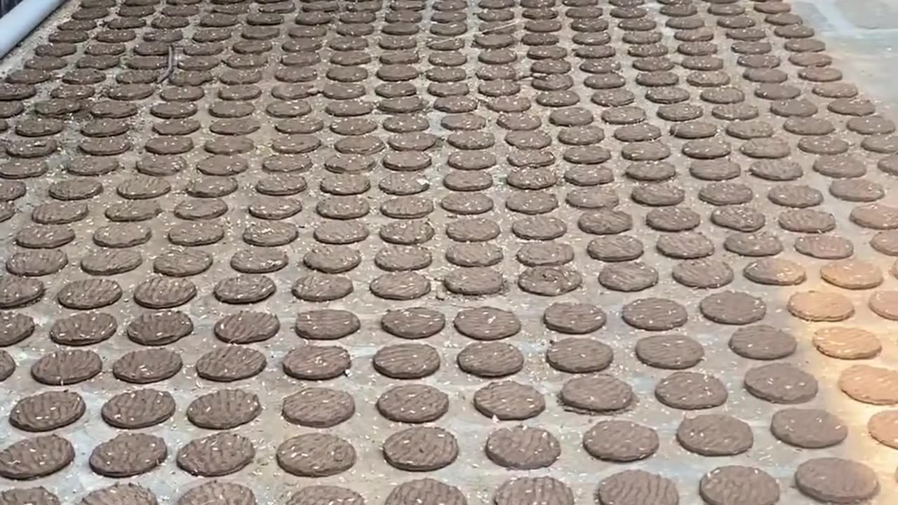 Processo di produzione delle torte di sterco di mucca che viene fatta essiccare e poi usata come pellet per cucinare il cibo oppure come concime per le piante in India,oltre a mangiarsi la merda e bersi l'urina delle sacre mucche DOCUMENTARIO