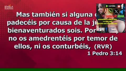 APOLOGETICA VIOLENTA AYUDA REALMENTE PARA EVANGELIZAR?