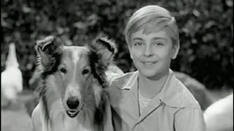 June 17, 1975 - Vintage Audio of 'Jeff's Collie' Airing on WFLD in Chicago