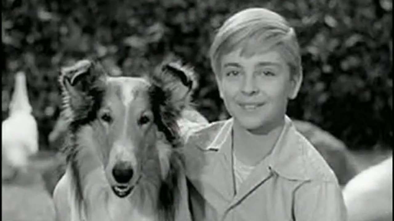 June 17, 1975 - Vintage Audio of 'Jeff's Collie' Airing on WFLD in Chicago