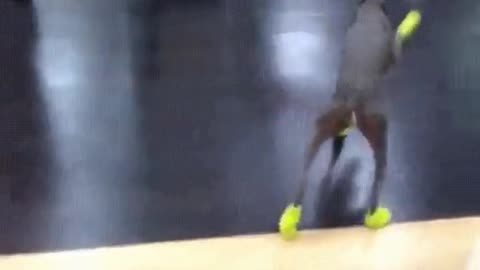 Dog with shoes
