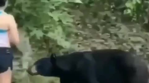 Biden The Bear