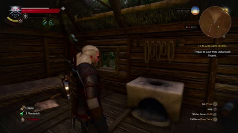 The Witcher 3 - Missing in Action - Quest