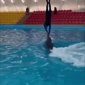 Here is the trick:Вот это трюк