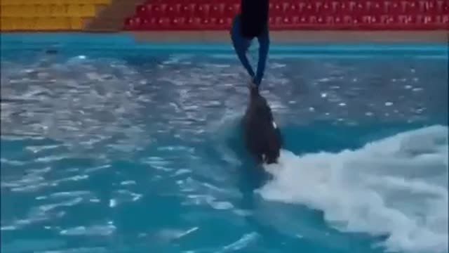 Here is the trick:Вот это трюк