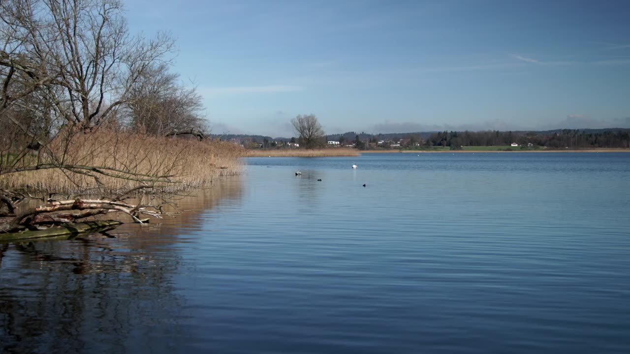 Greifensee Swiss