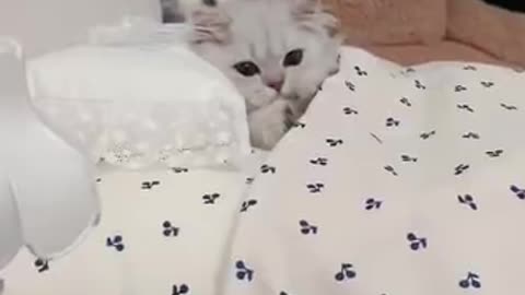 Sleep well