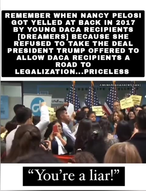 Remember When Nancy Pelosi Got YELLED At Back In 2017