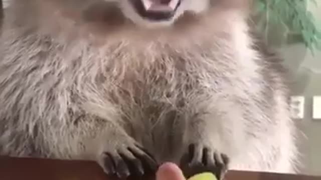 Don't touch my grapes