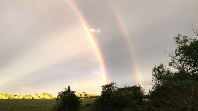 Sun Rays and Rainbows Create Beautiful Combination