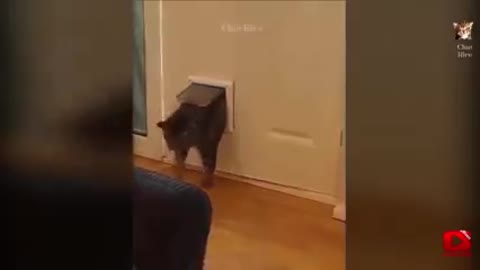 Il va vraiment falloir que je fasse un régime ! 😂😘