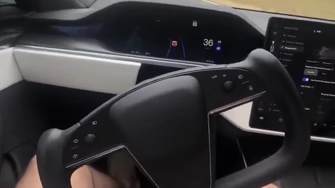 TRUST TESLA AUTO PILOT ?