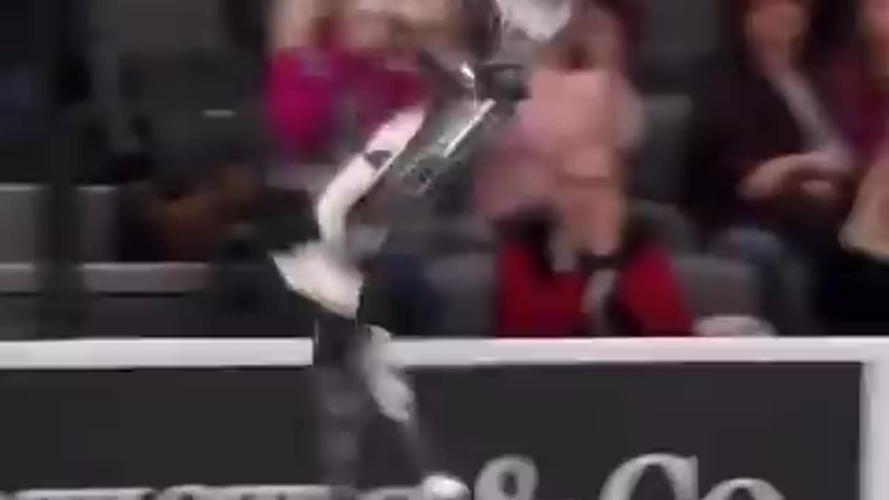 ROBOTS WILL TAKE OVER SPORTS!