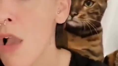 Cat is the great fun video