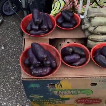 France resembles third world more and more day by day.