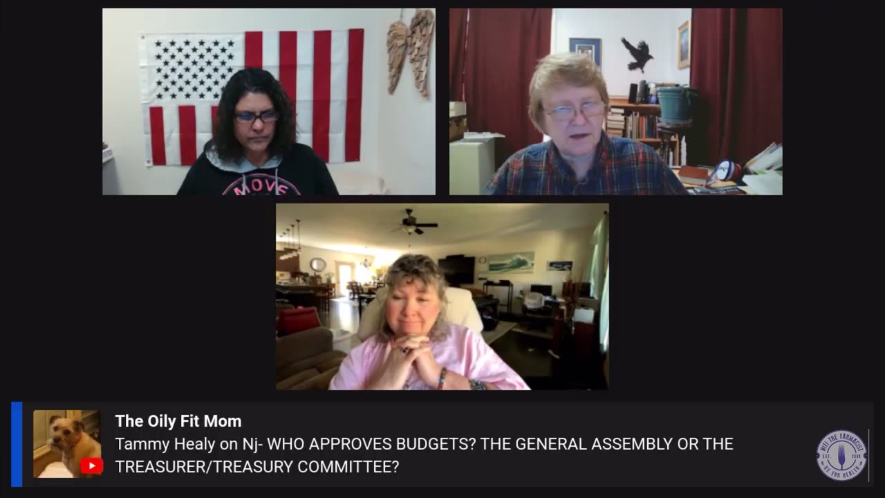 #AnnaClips Who Approves The Budgets For The General Assembly?